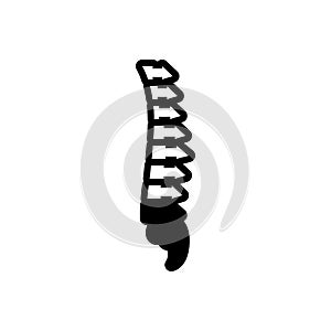 Black solid icon for Vertebra, anatomy and backbone