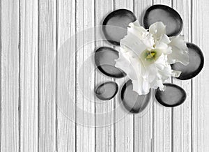 Black spa stones with flower on white wooden background