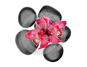 Black spa stones and pink orchid flower isolated on white