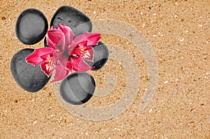 Black spa stones and pink orchid flower over yellow sand