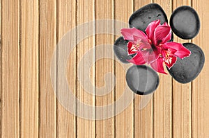 Black spa stones and pink orchid flower on wooden