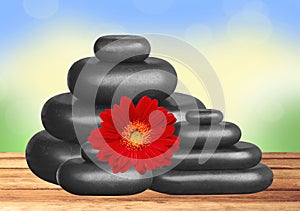 Black spa stones and red gerbera flower on wooden table over nat