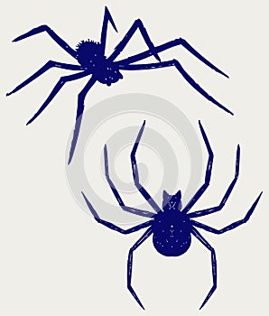 Black spider. Doodle style