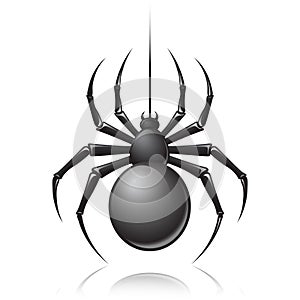 Black spider emblem