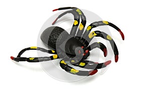 A black spider Halloween toy with patches of bright yellow at its eight legs