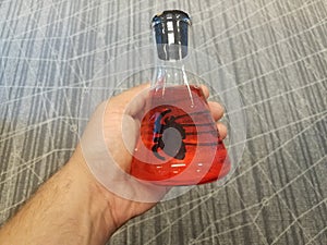 Black spider in red liquid in glass beaker or vial