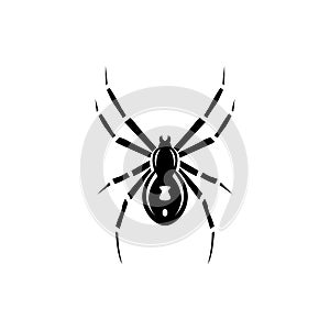 Black spider silhouette, close-up spider, scary big spider isolated on white, poisonous isect , arachnophobia background, spider