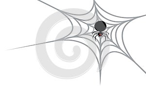 Black spider on the spider web