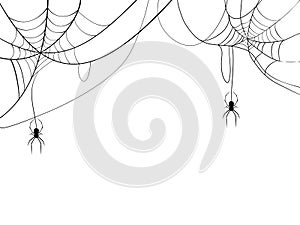 Black spider and spider web. Scary spiderweb of halloween symbol. Isolated on white background. vector illustration