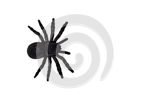 Black spider toy