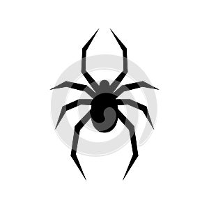 Black spider vector silhouette. Black widow. Flat vector illustration