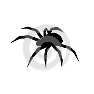 Black spider vector silhouette. Black widow. Flat vector illustration