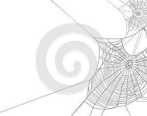 Black spider web silhouette on white vector background