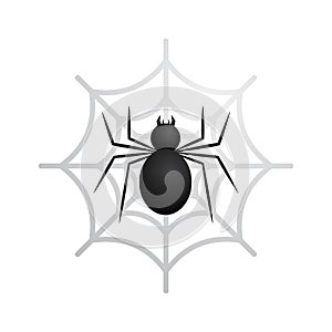 Black spider in web vector illustration isolated on white background. Suitable for t-shirt design or other design project