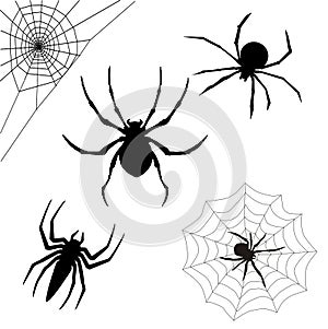 Black spider and webs vector for Halloween