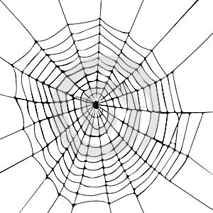 Black spiderweb isolated