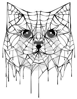 Black spiderweb silhouette head cat. Halloween accessory