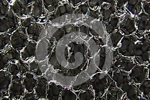 black spunge texture