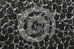 black spunge texture