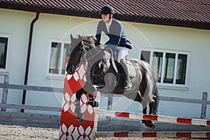 Black stallion horse and handsome man rider jumping obstacle