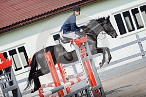 Black stallion horse and handsome man rider jumping obstacle during showjumping competition