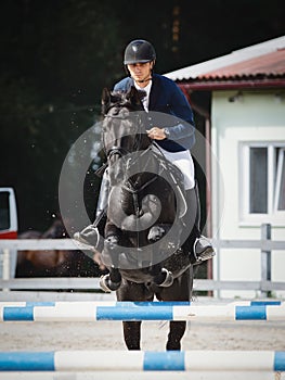 Black stallion horse and handsome man rider jumping obstacle during showjumping competition