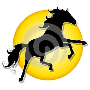 Black Stallion With Sunset