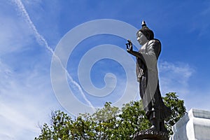 Black statue with blue sky