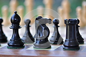 Black Staunton chess pieces