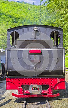 Black steam locomotive in forest