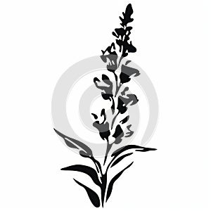 Black Stencil Plant Silhouette: Realistic Rubens Norwegian Nature Illustration