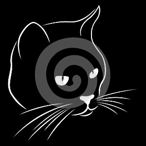 Stencil of a cat`s muzzle looking