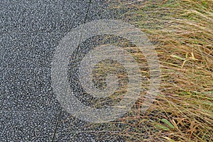 Black Stone Pathway with grass