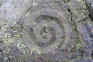 Black stone with red veins covered with lichen