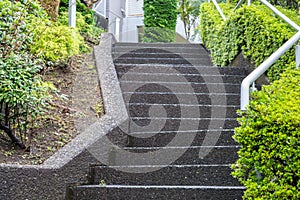 Black stone stairs with tree in garden