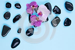 Black stones on a blue background together with pink