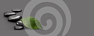 Black stones with green leaf on gray. Horizontal nature background