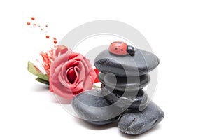 Black stones with rose and ladybug