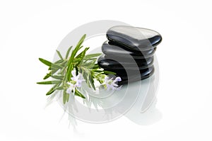 Black stones and sprig of rosemary photo