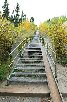 Black Street Stairs at the end of Airport Trail in Whitehorse