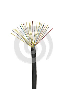 Black stripped cable with multicolored electrical wires isolated