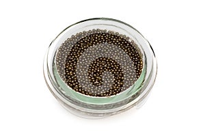 Black, sturgeon caviar.