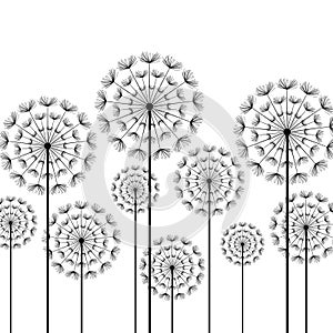Black stylized dandelions on white background