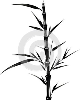 A black Sumi-e bamboo stalk. Zen and peaceful.