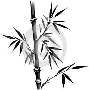 A black Sumi-e bamboo stalk. Zen and peaceful.