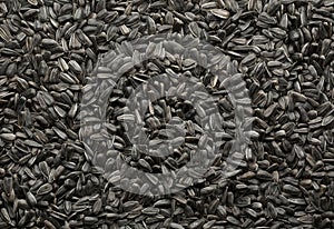 Black sunflower seeds background