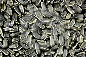 Black sunflower seeds, background