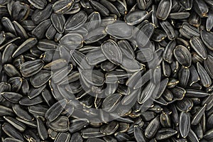 Black sunflower seeds. Black sunflower seeds for texture or background. Black sunflower seeds macro close up