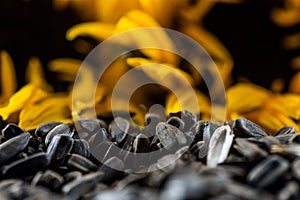 Black sunflower seeds and blurred sunflowers on the background