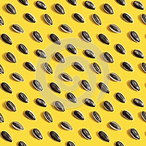 Black sunflower seeds on bright yellow background. Harvest time agriculture farming. Healthy oils, food